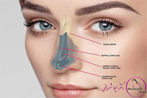 عمل بینی در سن بالا